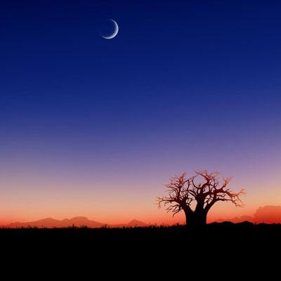 云平台app下载手机版